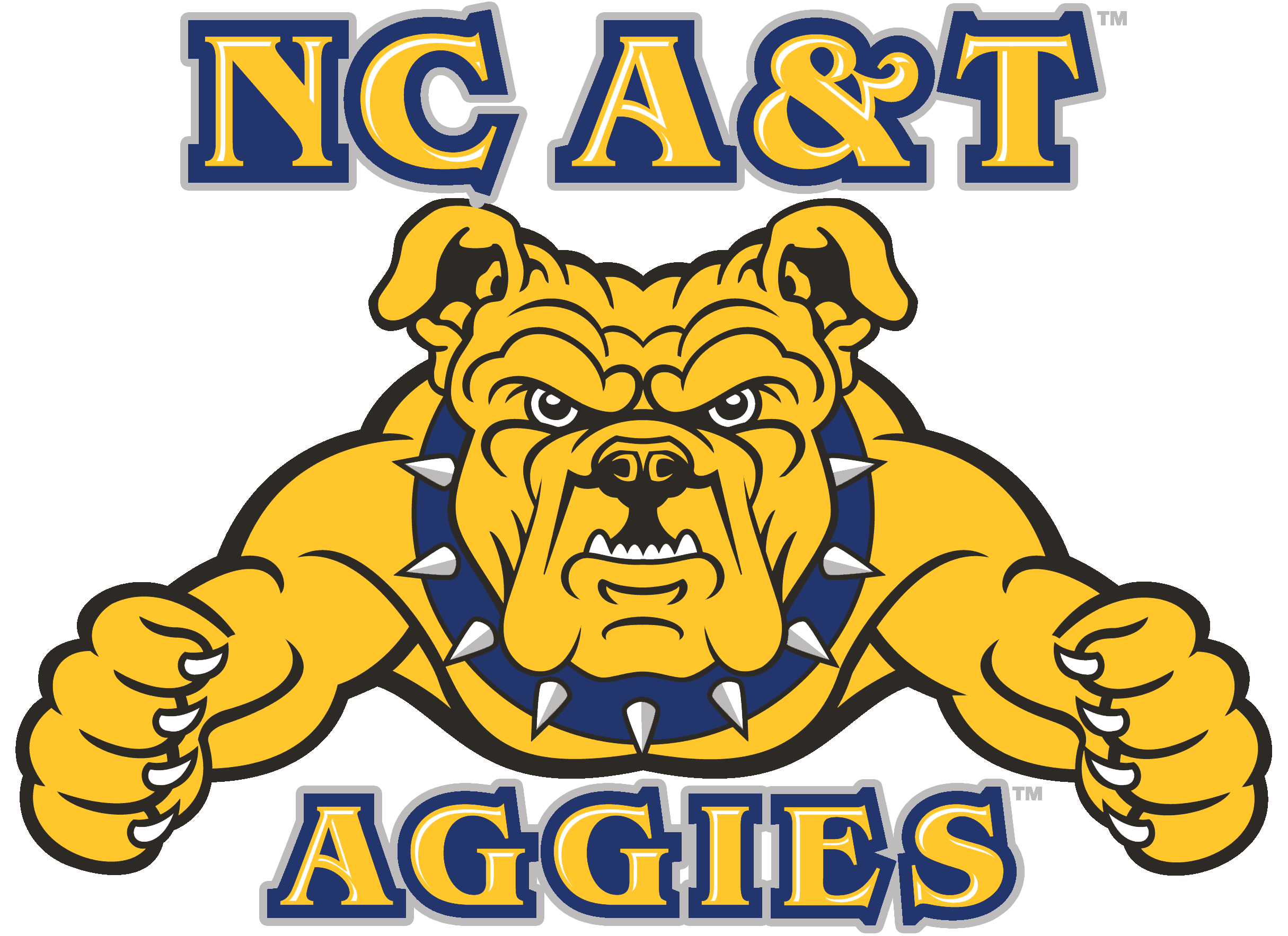North Carolina A&T State University